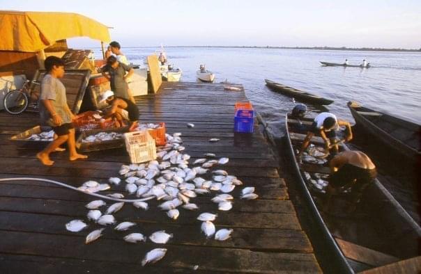 Porto de Itacoatiara