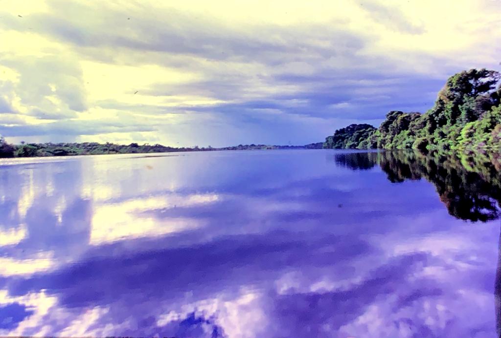 077 Descendo o Rio Negro 01