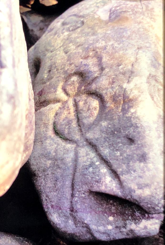 086 Descendo o Rio Negro 10