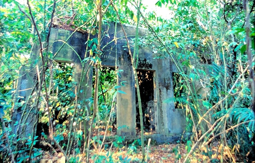 087 Descendo o Rio Negro 11