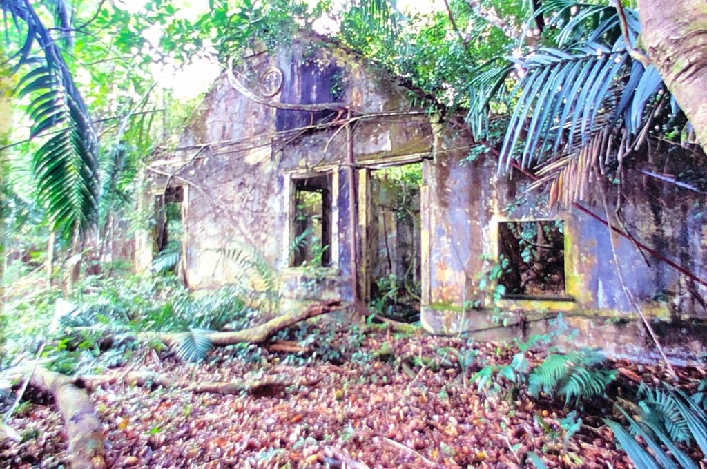 088 Descendo o Rio Negro 12