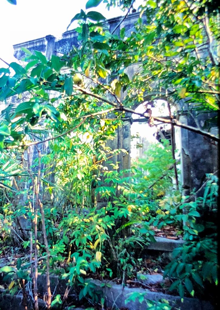 089 Descendo o Rio Negro 13