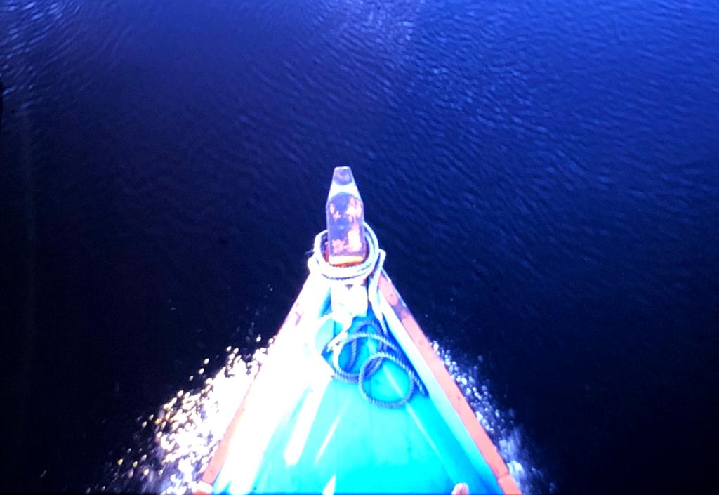 105 Descendo o Rio Negro 29