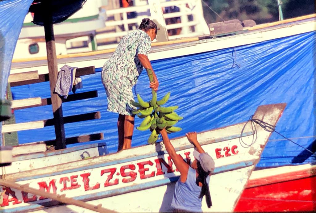 107 Descendo o Rio Negro 31