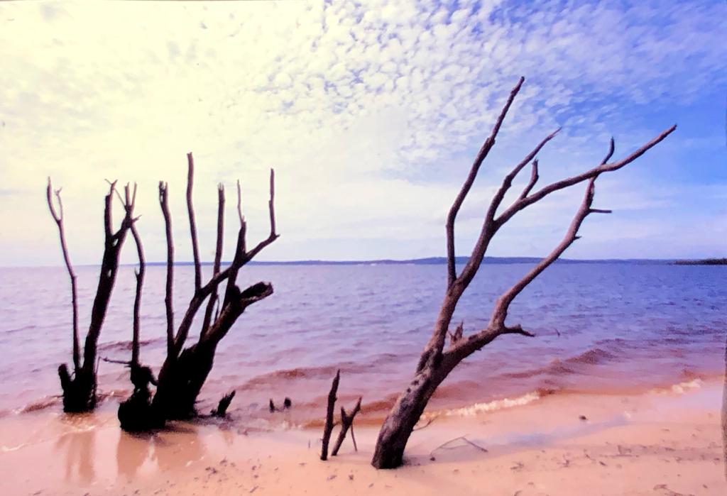 108 Descendo o Rio Negro 32