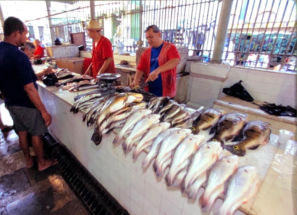 116 Descendo o Rio Negro 40