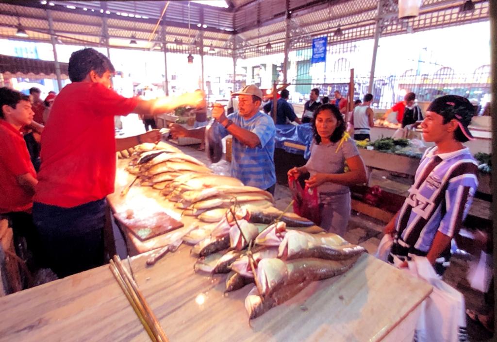 117 Descendo o Rio Negro 41