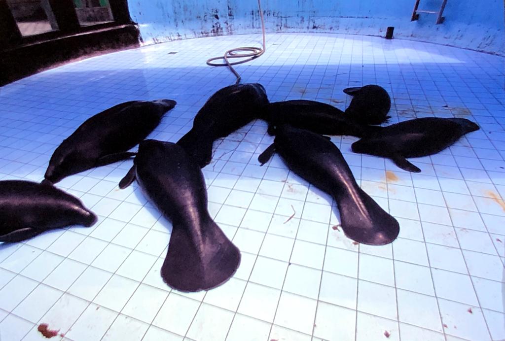 119 Descendo o Rio Negro 43