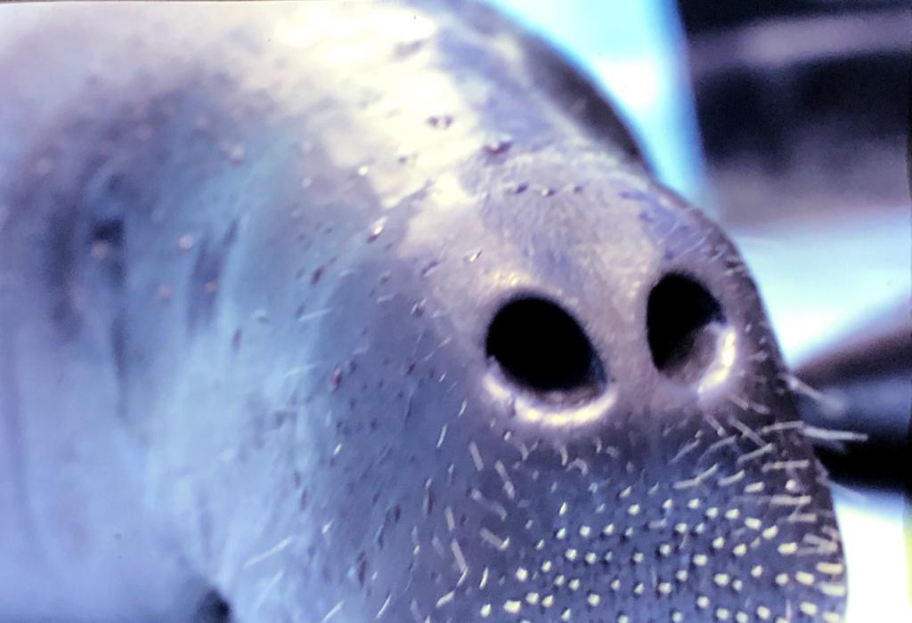 120 Descendo o Rio Negro 44