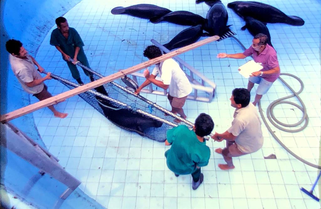 128 Descendo o Rio Negro 52