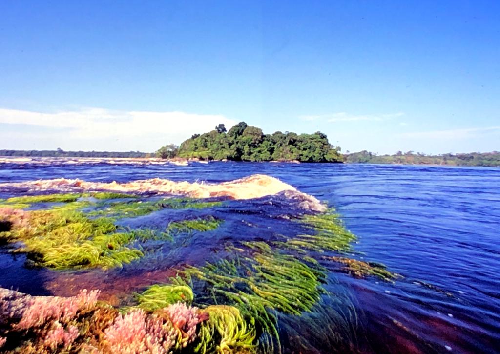 São Gabriel da Cachoeira 04